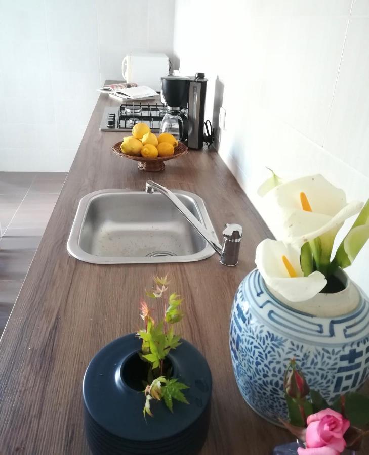 House In The Town Centre Villa Caminha Ngoại thất bức ảnh