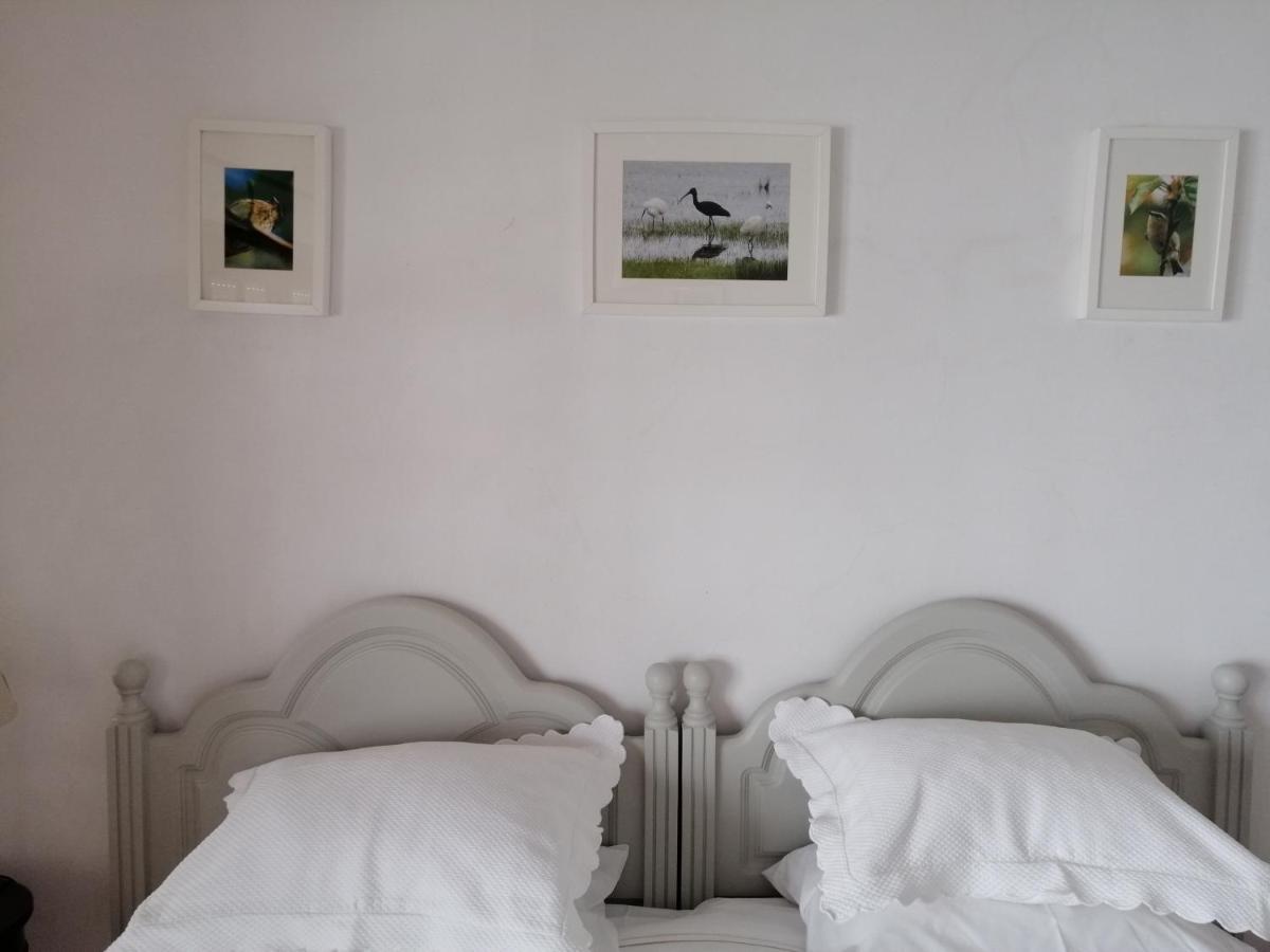 House In The Town Centre Villa Caminha Ngoại thất bức ảnh